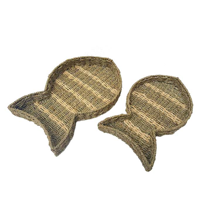 Vassoi Exotic Fish - Set 2