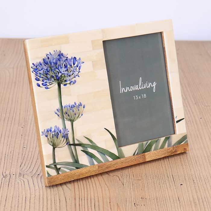 Portafoto Agapanthus - L