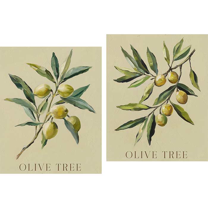 Quadri Olive Tree - Set 2