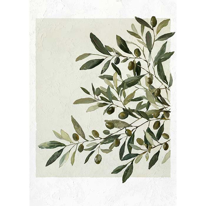 Quadro Olive Branch