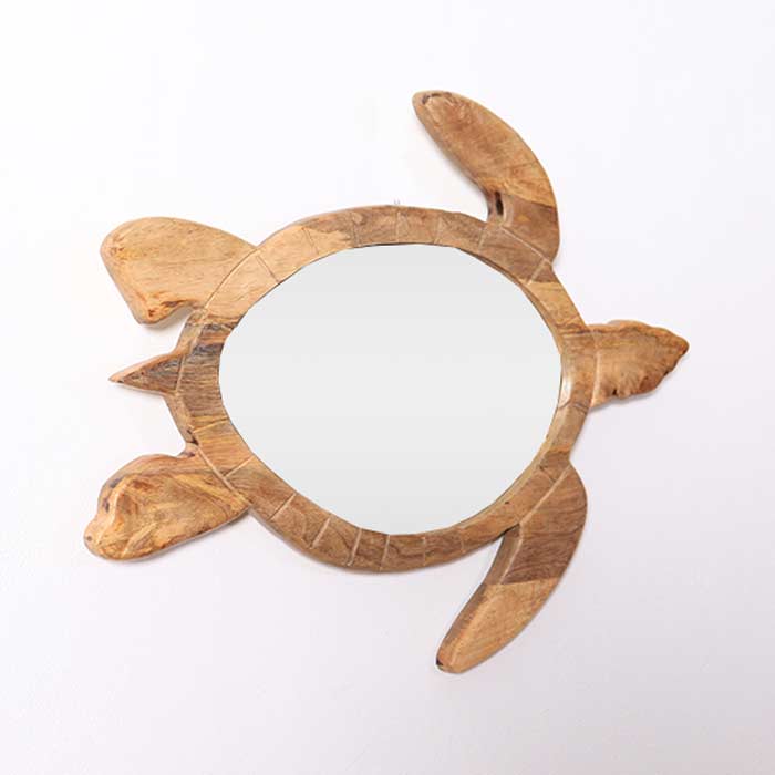 Specchio Turtle