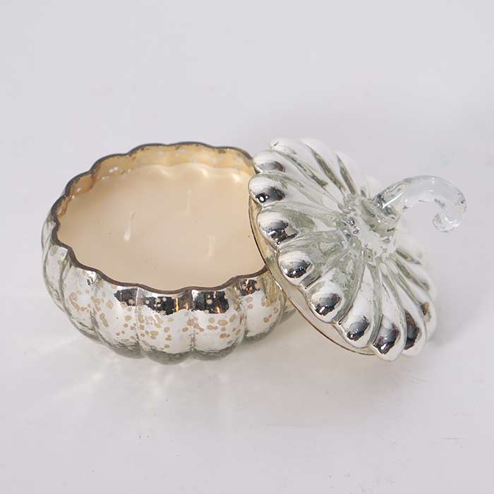 Contenitore Zucca con Cera Vaniglia