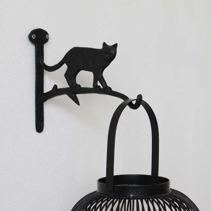 Appendino Cat